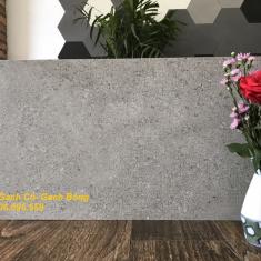 Gạch Eurotile Sa Thạch SAT G02