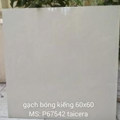 Gạch Taicera 60x60 P67542N