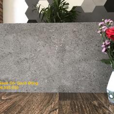 Gạch Eurotile Sa Thạch SAT G03