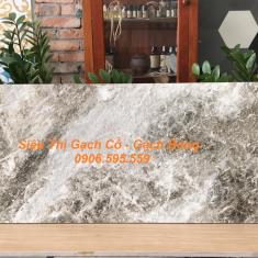 Gạch Eurotile Hoa Đá 300x900 HOD D02