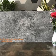 Gạch Eurotile 300x600 ANN G04