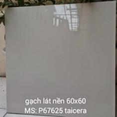 Gạch Taicera 60x60  P67625N