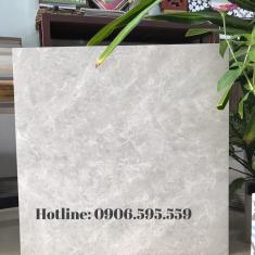 Gạch lát nền 60x60 - 571