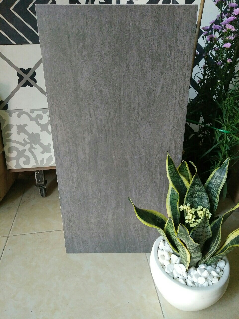 Gạch Kis 30x60 K603803