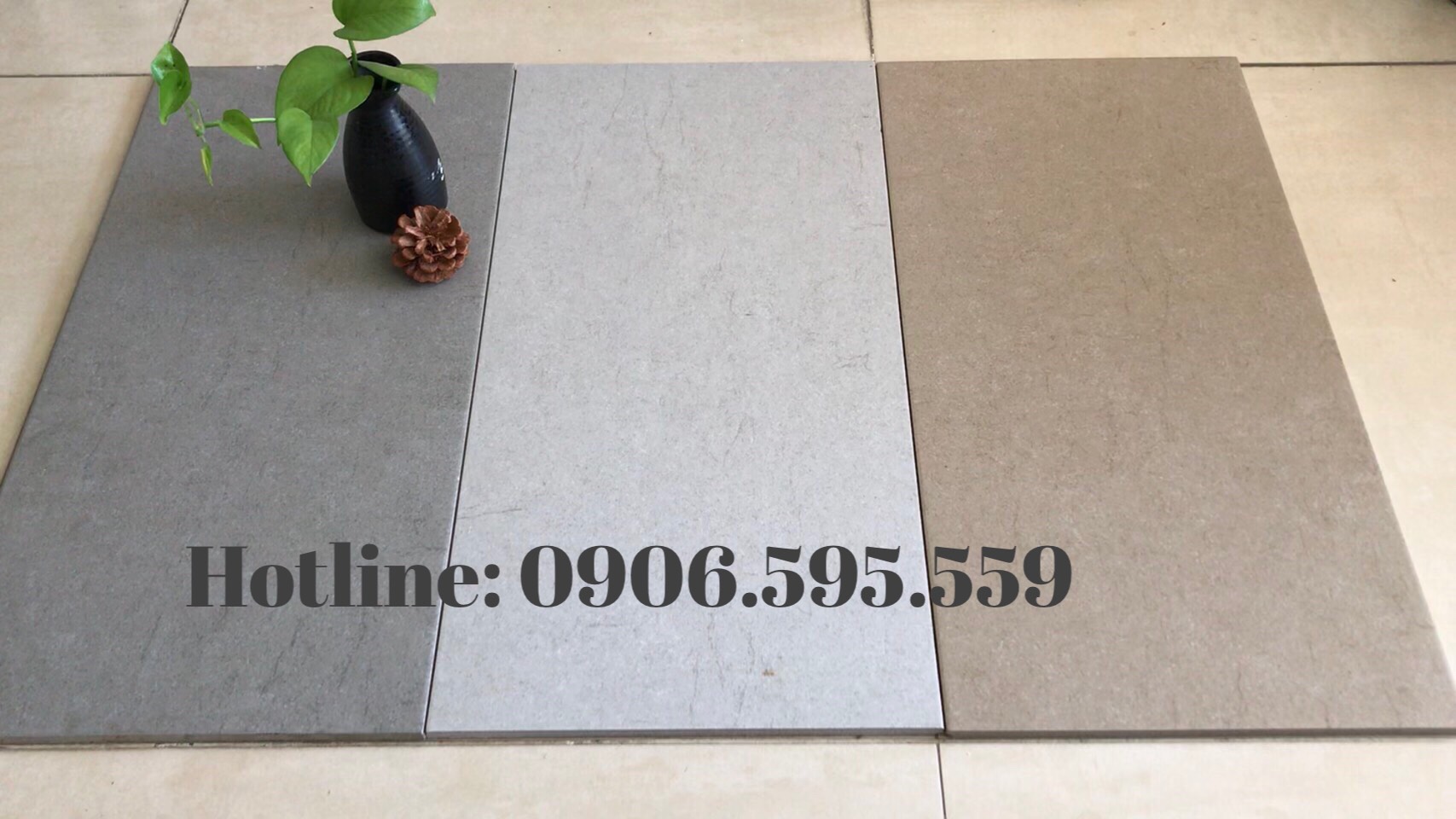 Gạch bạch mã 30x60 - 12