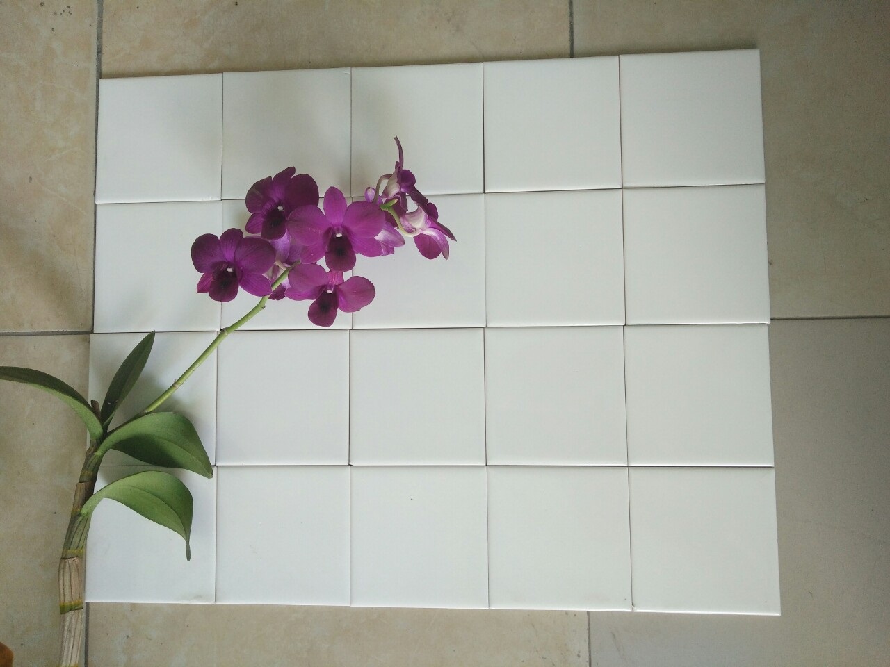 Gạch Thẻ Ốp Tường 10x10- Gạch Thẻ 10x10