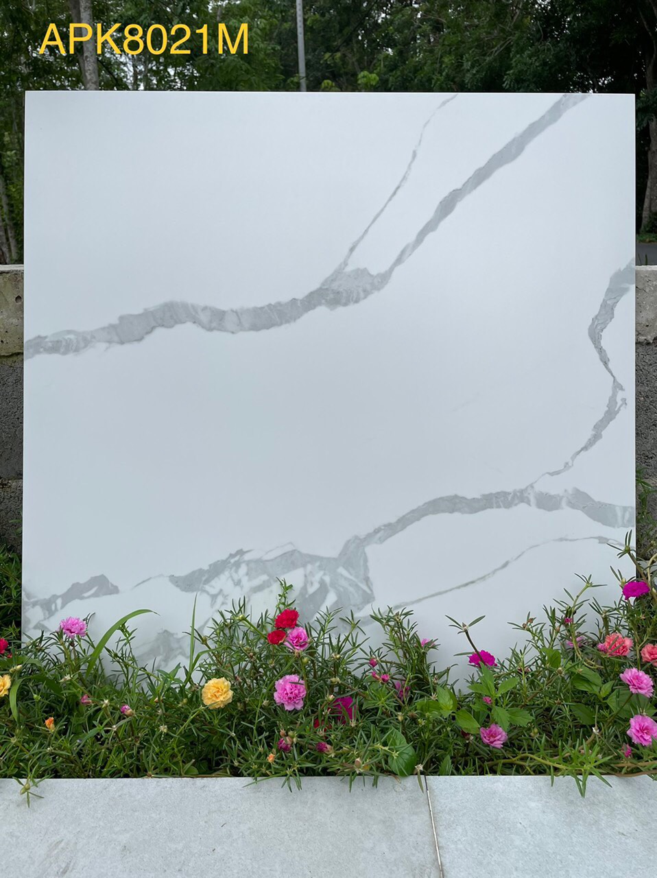 Gạch Lát Nền 80x80- Gạch Lát Nền Đẹp - 2
