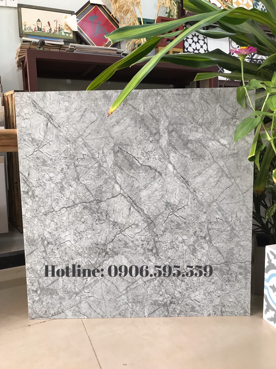 Gạch lát nền 60x60 -6606