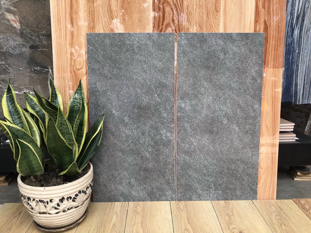 Gạch ốp tường 30x60 -7