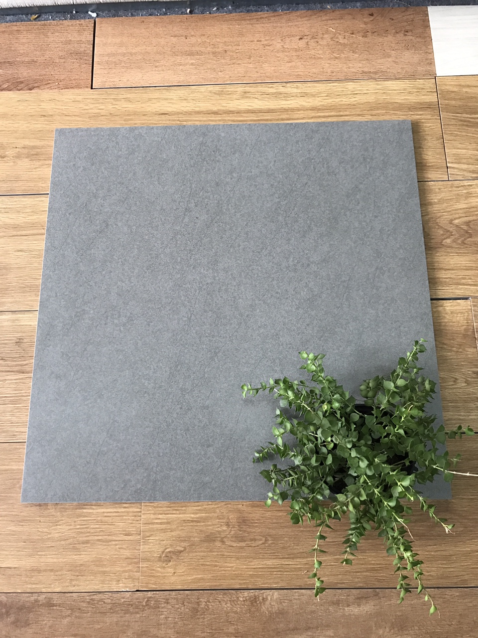 Gạch Taicera 60x60 G68918- Gạch Taicera 