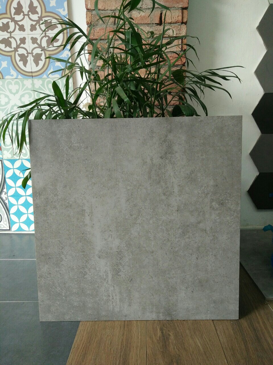 Gạch Royal 60x60 PP6001