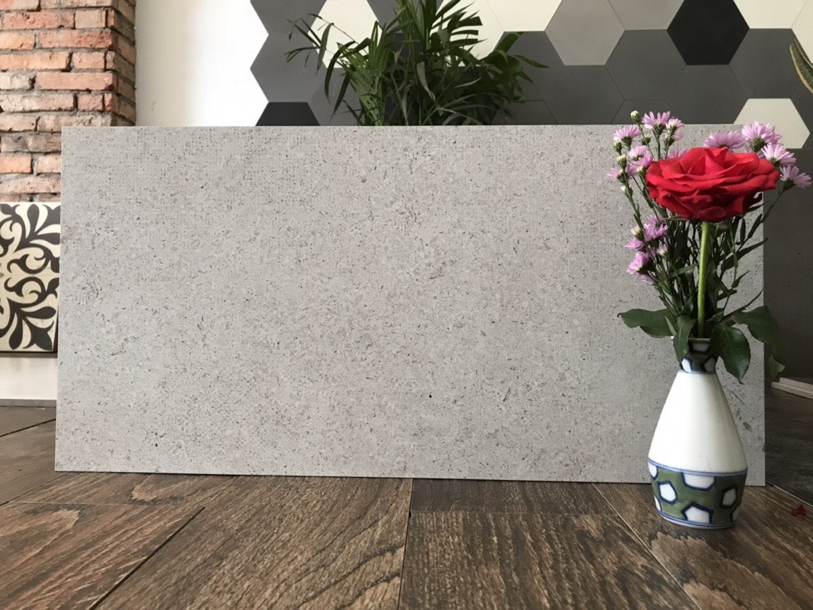 Gạch Eurotile 30x60  Sa Thạch G01