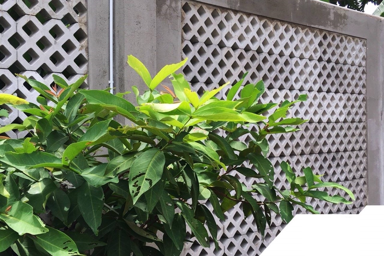 Gạch 8 lỗ 