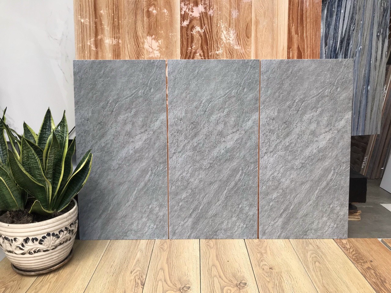 Gạch ốp tường 30x60 -6