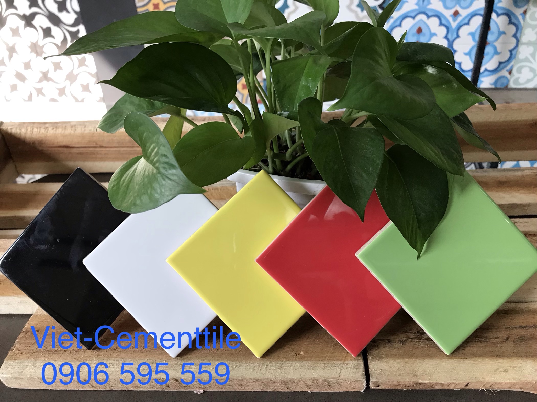 Gạch Thẻ Ốp Tường 10x10- Gạch Thẻ 10x10